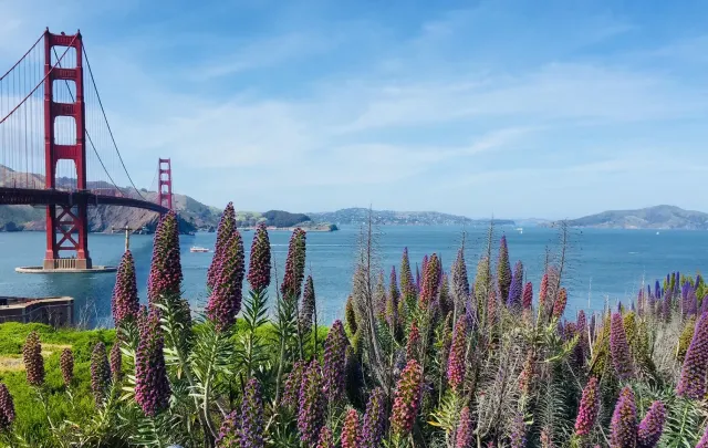 San Francisco