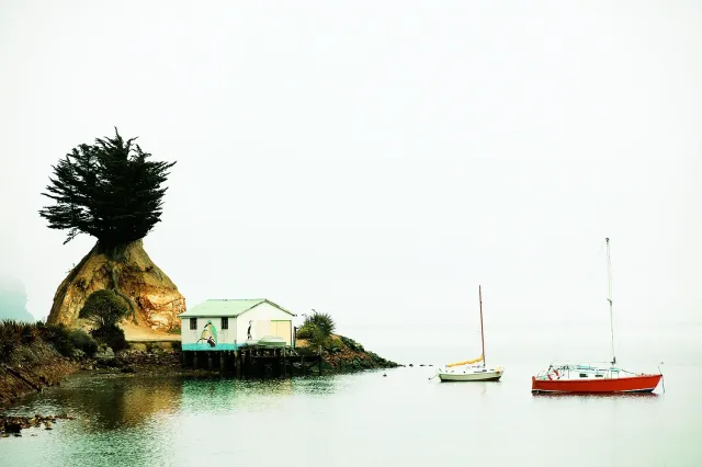 dunedin New Zealand