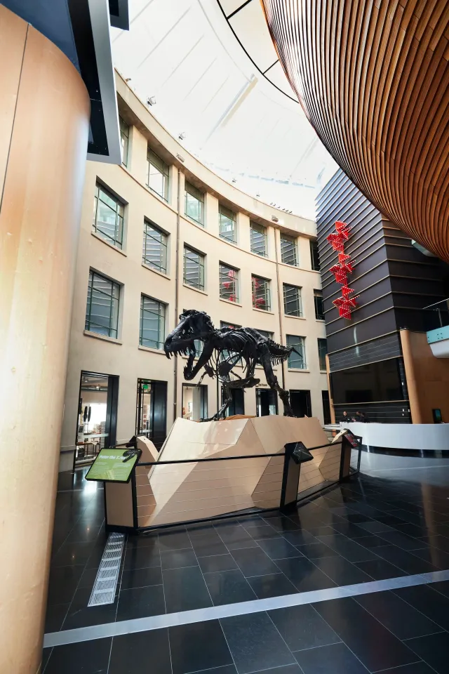 PSK Auckland-11.jpg