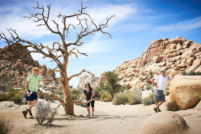 joshua tree national park california