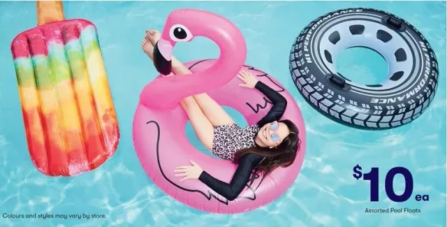 assorted_pool_floats3af7ef12_2788_4058_899f_16a180567447_00000001_ORG.jpg