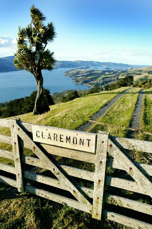 dunedin New Zealand