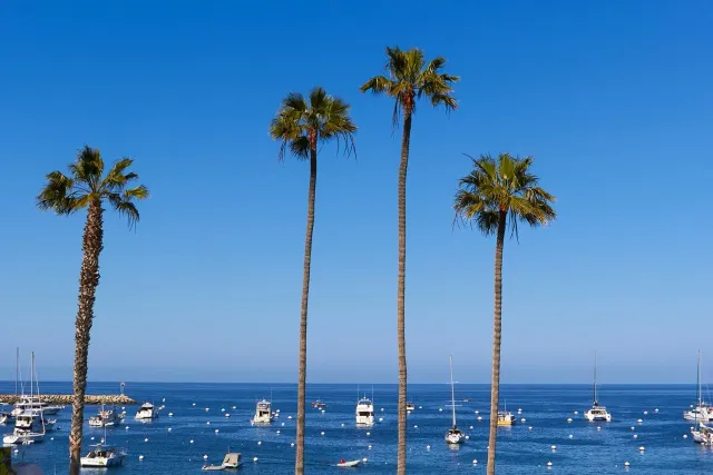 santa catalina island